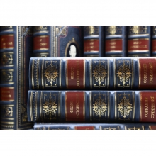 Достоевский собрание сочинений в 10 томах эксклюзивное издание