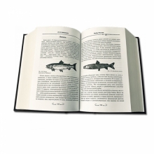 Жизнь и ловля пресноводных рыб Л.П. Сабанеев подарочное издание